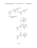 METHODS OF MODULATING PPAR GAMMA-TYPE RECEPTORS diagram and image