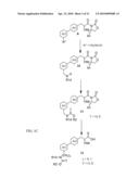 METHODS OF MODULATING PPAR GAMMA-TYPE RECEPTORS diagram and image