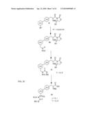 METHODS OF MODULATING PPAR GAMMA-TYPE RECEPTORS diagram and image