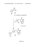 METHODS OF MODULATING PPAR GAMMA-TYPE RECEPTORS diagram and image