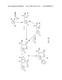 METHODS OF MODULATING PPAR GAMMA-TYPE RECEPTORS diagram and image