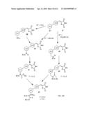 METHODS OF MODULATING PPAR GAMMA-TYPE RECEPTORS diagram and image