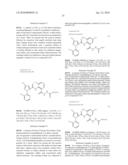 HARMFUL ORGANISM CONTROL COMPOSITION diagram and image