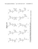 RNA INTERFERENCE MEDIATED INHIBITION OF CHECKPOINT KINASE-1 (CHK-1) GENE EXPRESSION USING SHORT INTERFERING NUCLEIC ACID (siNA) diagram and image