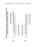 RNA INTERFERENCE MEDIATED INHIBITION OF CHECKPOINT KINASE-1 (CHK-1) GENE EXPRESSION USING SHORT INTERFERING NUCLEIC ACID (siNA) diagram and image