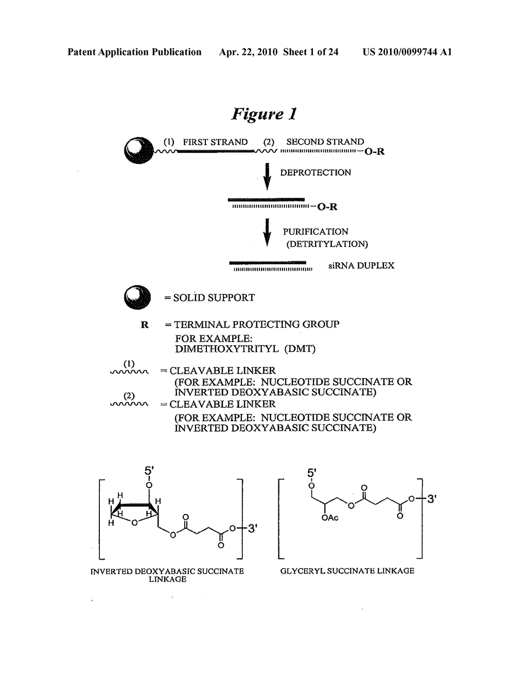 RNA INTERFERENCE MEDIATED INHIBITION OF MATRIX METALLOPROTEINASE 13 (MMP13) GENE EXPRESSION USING SHORT INTERFERING NUCLEIC ACID (siNA) - diagram, schematic, and image 02