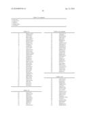 NOVEL NUCLEIC ACID diagram and image