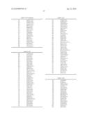 NOVEL NUCLEIC ACID diagram and image