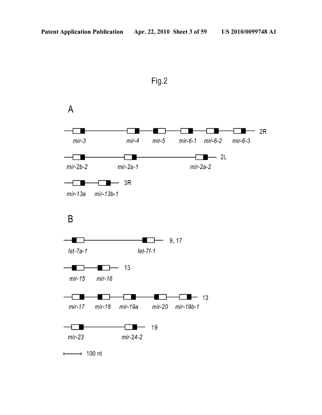 MICRORNA MOLECULES - diagram, schematic, and image 04