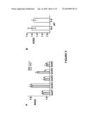 Nucleic Acid Inhibitors Of Glutamate Receptors diagram and image