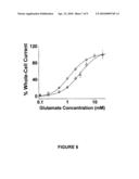 Nucleic Acid Inhibitors Of Glutamate Receptors diagram and image