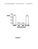 Nucleic Acid Inhibitors Of Glutamate Receptors diagram and image