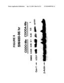 Glycyrrhetinic Acid Derivatives diagram and image