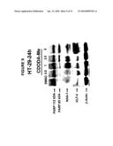 Glycyrrhetinic Acid Derivatives diagram and image