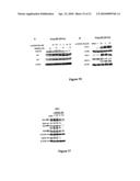 Glycyrrhetinic Acid Derivatives diagram and image