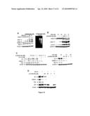 Glycyrrhetinic Acid Derivatives diagram and image