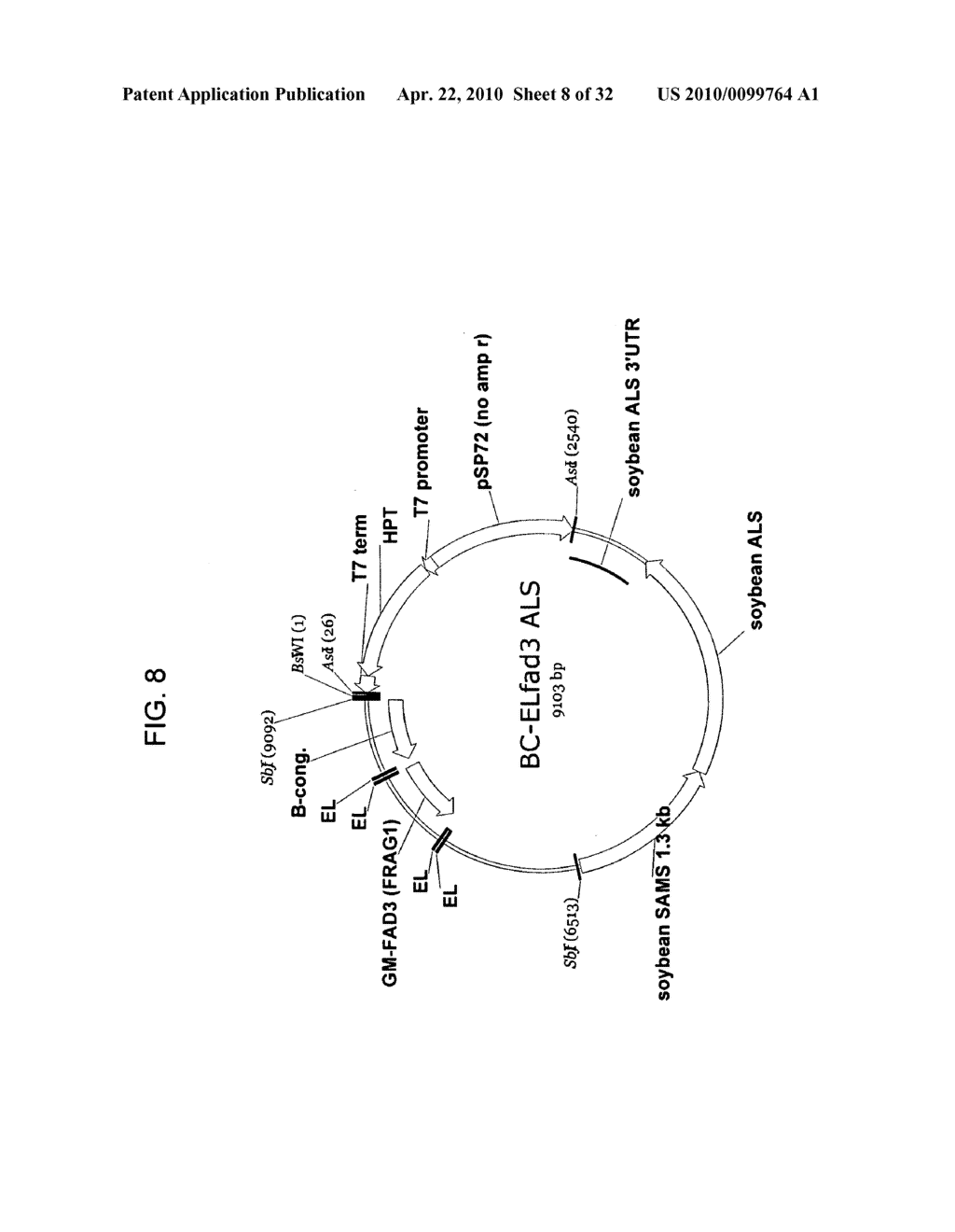 PRODUCTION OF ARACHIDONIC ACID IN OILSEED PLANTS - diagram, schematic, and image 09