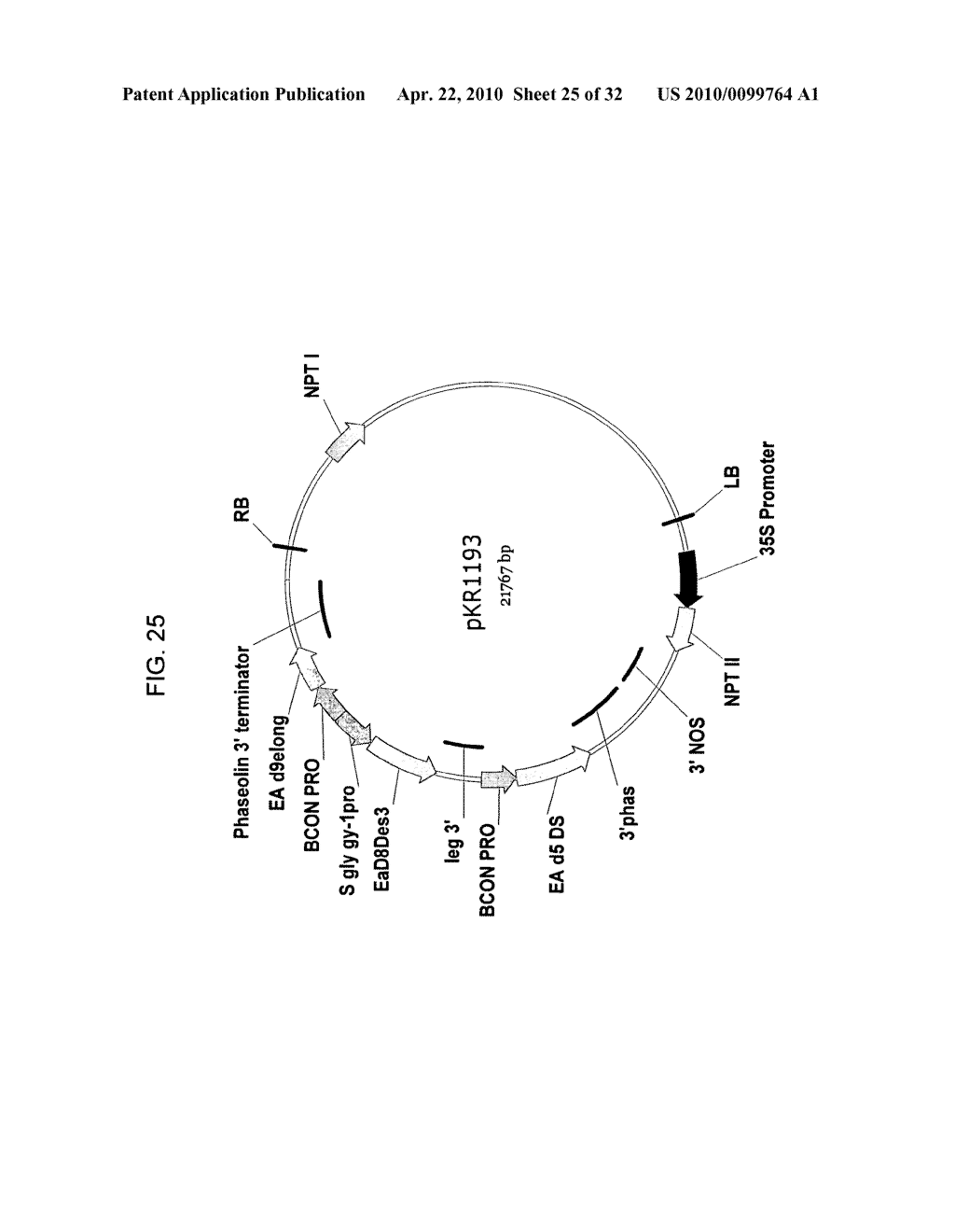 PRODUCTION OF ARACHIDONIC ACID IN OILSEED PLANTS - diagram, schematic, and image 26