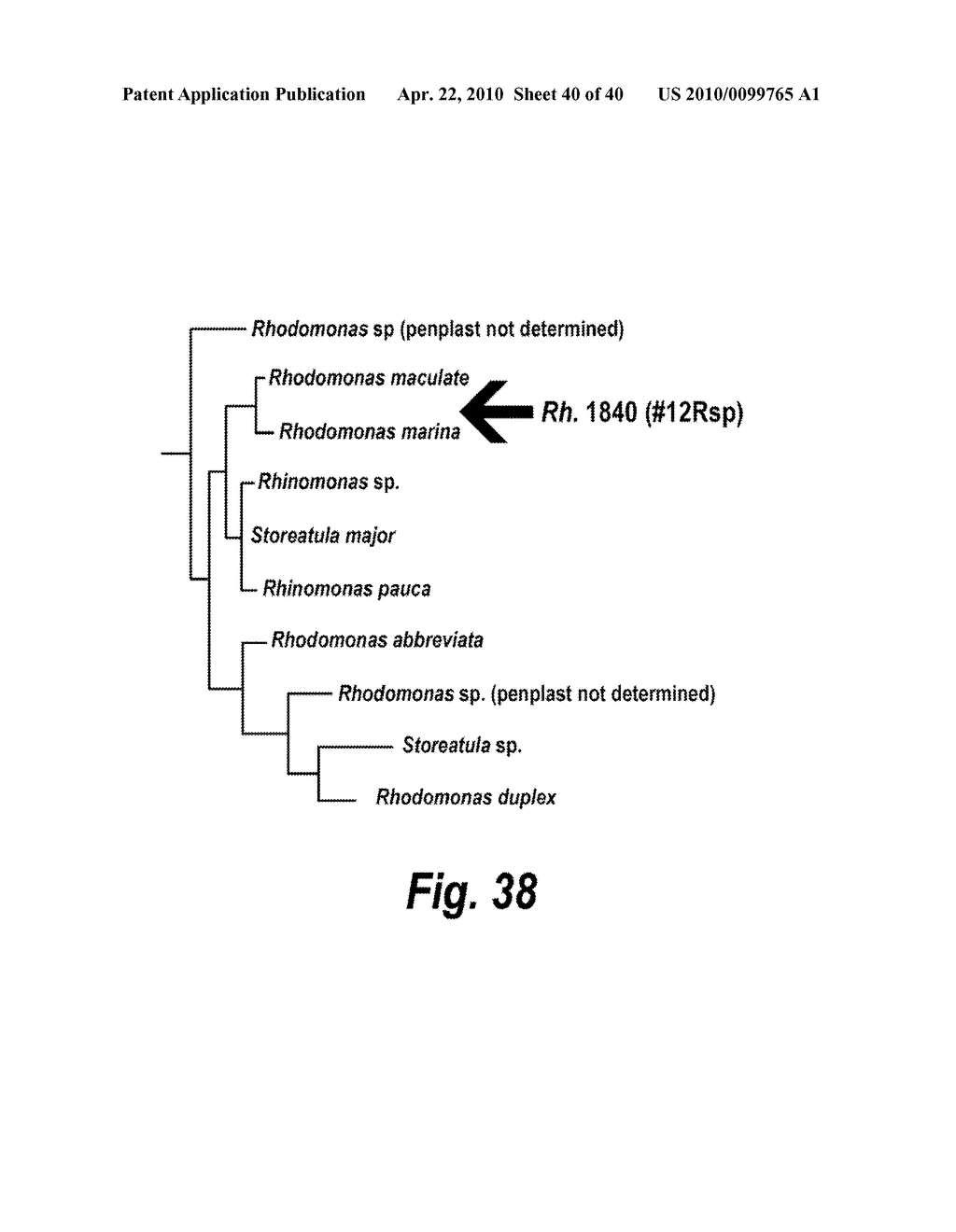 COMPOSITIONS, METHODS, AND KITS FOR POLYUNSATURATED FATTY ACIDS FROM MICROALGAE - diagram, schematic, and image 41