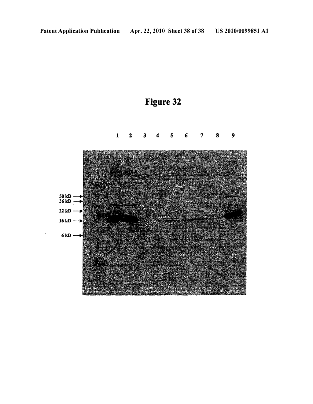 SYNTHETIC HYPERGLYCOSYLATED, PROTEASE-RESISTANT POLYPEPTIDE VARIANTS, ORAL FORMULATIONS AND METHODS OF USING THE SAME - diagram, schematic, and image 39