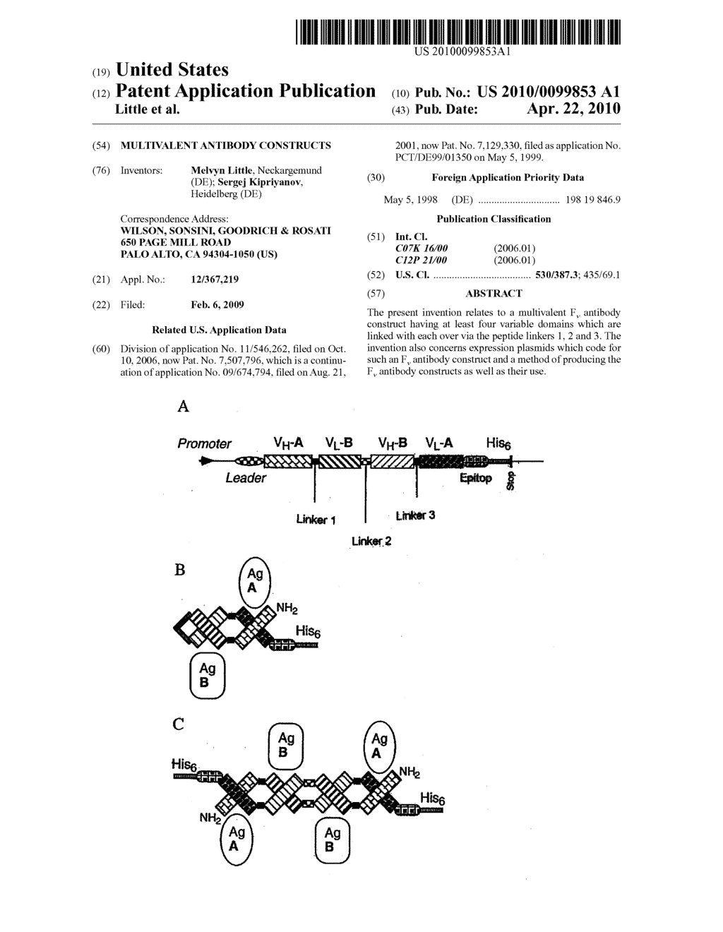 Multivalent Antibody Constructs - diagram, schematic, and image 01