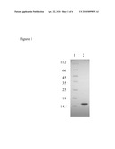 RECOMBINANT PROTEIN COMPRISING STARCH BINDING DOMAIN AND USE THEREOF diagram and image