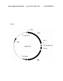 RECOMBINANT PROTEIN COMPRISING STARCH BINDING DOMAIN AND USE THEREOF diagram and image