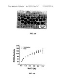 Maximizing Oligonucleotide Loading on Gold Nanoparticle diagram and image