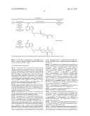 NOVEL NUCLEOTIDE ANALOGUES AS PRECUSOR MOLECULES FOR ANTIVIRALS diagram and image