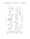 NEW ORTHO-FUNCTIONALIZED P-CHIRAL ARYLPHOSPHINES AND DERIVATIVES: THEIR PREPARATION AND USE IN ASYMMETRIC CATALYSIS diagram and image