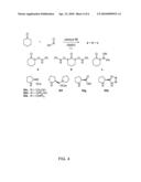 PROCESS OF MAKING ALPHA-AMINOOXYKETONE/ALPHA-AMINOOXYALDEHYDE AND ALPHA-HYDROXYKETONE/ALPHA-HYDROXYALDEHYDE COMPOUNDS AND A PROCESS MAKING REACTION PRODUCTS FROM CYCLIC ALPHA, BETA-UNSATURATED KETONE SUBSTRATES AND NITROSO SUBSTRATES diagram and image