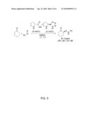 PROCESS OF MAKING ALPHA-AMINOOXYKETONE/ALPHA-AMINOOXYALDEHYDE AND ALPHA-HYDROXYKETONE/ALPHA-HYDROXYALDEHYDE COMPOUNDS AND A PROCESS MAKING REACTION PRODUCTS FROM CYCLIC ALPHA, BETA-UNSATURATED KETONE SUBSTRATES AND NITROSO SUBSTRATES diagram and image