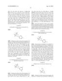 PROCESS OF MAKING ALPHA-AMINOOXYKETONE/ALPHA-AMINOOXYALDEHYDE AND ALPHA-HYDROXYKETONE/ALPHA-HYDROXYALDEHYDE COMPOUNDS AND A PROCESS MAKING REACTION PRODUCTS FROM CYCLIC ALPHA, BETA-UNSATURATED KETONE SUBSTRATES AND NITROSO SUBSTRATES diagram and image