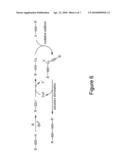 SYNTHETIC NAVEL ORANGEWORM PHEROMONE COMPOSITION AND METHODS RELATING TO PRODUCTION OF SAME diagram and image