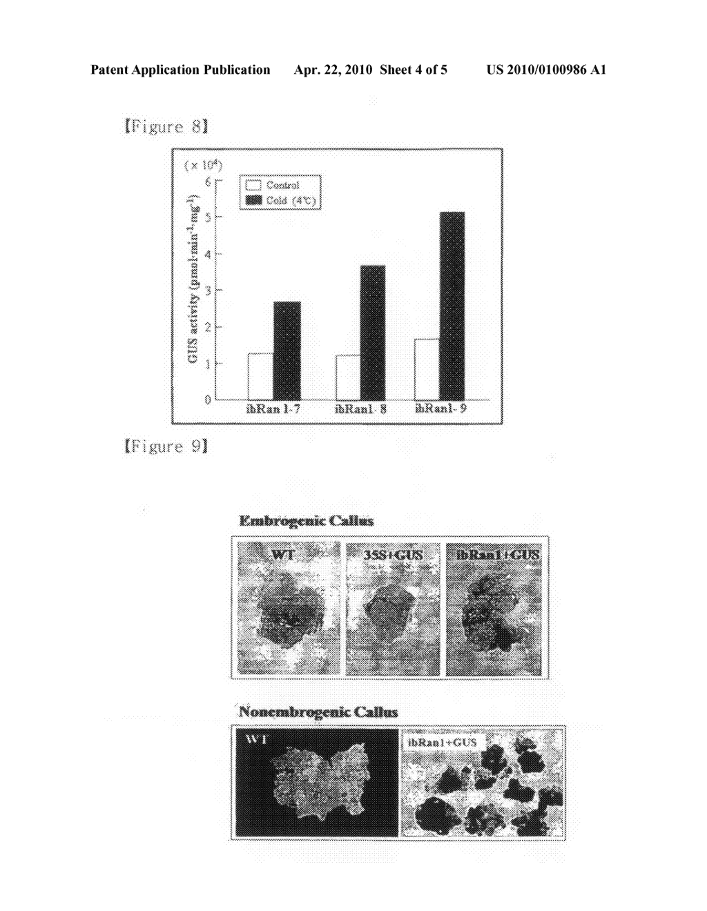 PROMOTER FOR THE HIGH LEVEL EXPRESSION IN PLANT-TISSUE CULTURE AND VECTOR USING THE SAME - diagram, schematic, and image 05