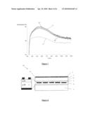 POROUS LAYER, ITS MANUFACTURING PROCESS AND ITS APPLICATIONS diagram and image