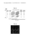 CHARGED PARTICLE BEAM APPARATUS diagram and image