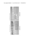 Spill Containing Refrigerator Shelf Assembly diagram and image