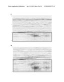 Simultaneous Multiple Source Extended Inversion diagram and image