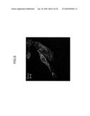 MODE-LOCKED LASER DEVICE, ULTRASHORT PULSE LIGHT SOURCE DEVICE, BROAD BANDWIDTH LIGHT SOURCE DEVICE, NON-LINEAR OPTICAL MICROSCOPY DEVICE, RECORDING DEVICE AND OPTICAL COHERENCE TOMOGRAPHY DEVICE diagram and image