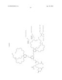 Dendritic Chelated Compounds, Methods for Making the Same and Pharmaceutical Compositions Containing the Same diagram and image