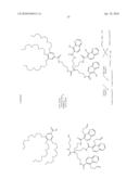 Dendritic Chelated Compounds, Methods for Making the Same and Pharmaceutical Compositions Containing the Same diagram and image