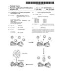 NANOPARTICLE CLUSTERS AND METHODS FOR FORMING SAME diagram and image