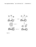 NANOPARTICLE CLUSTERS AND METHODS FOR FORMING SAME diagram and image