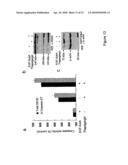 CLEAVAGE OF BIP BY SUBTILASE CYTOTOXIN diagram and image