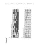 POLYNUCLEOTIDES AND POLYPEPTIDE SEQUENCES INVOLVED IN THE PROCESS OF BONE REMODELING diagram and image