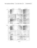 METHOD AND COMPOSITION FOR TREATMENT OF NEOPLASMS diagram and image