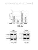 GENES INVOLVED IN MITOCHONDRIAL BIOGENESIS diagram and image