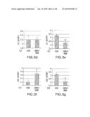 GENES INVOLVED IN MITOCHONDRIAL BIOGENESIS diagram and image