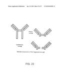 Methods and Reagents for Regulation of Cellular Responses in Biological Systems diagram and image